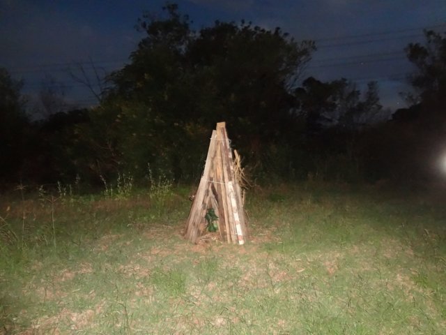 dsc08625.jpg